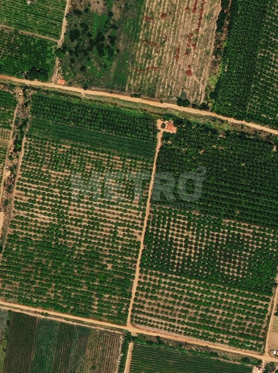 Fazenda - Foto 1