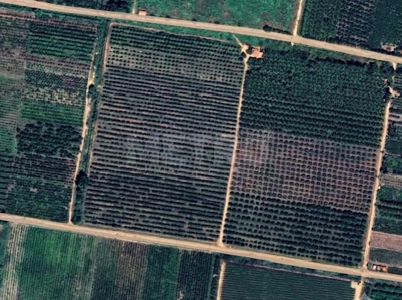 Fazenda - Foto 1