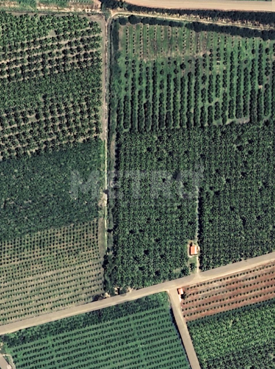 Fazenda - Foto 1
