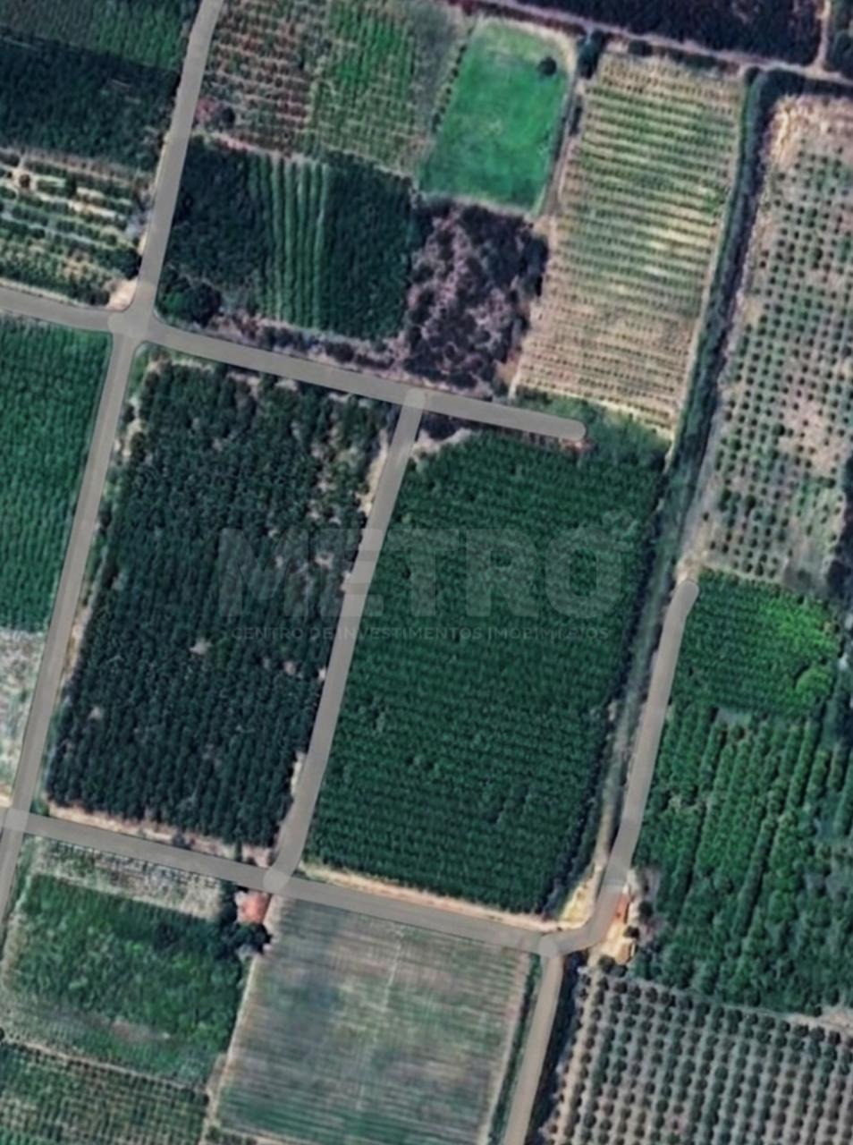 Fazenda - Foto 1