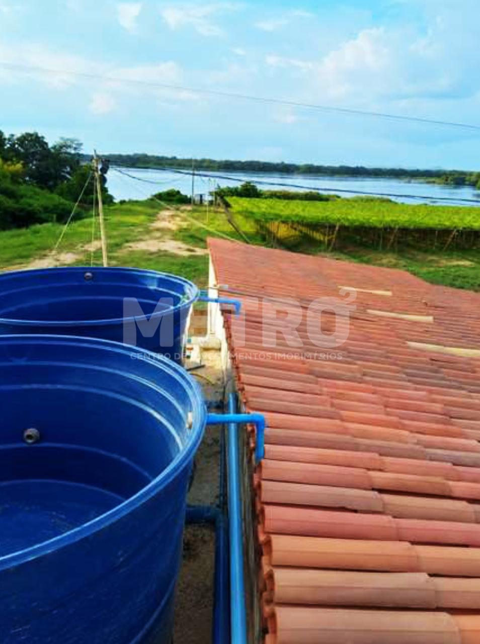 Fazenda - Foto 5