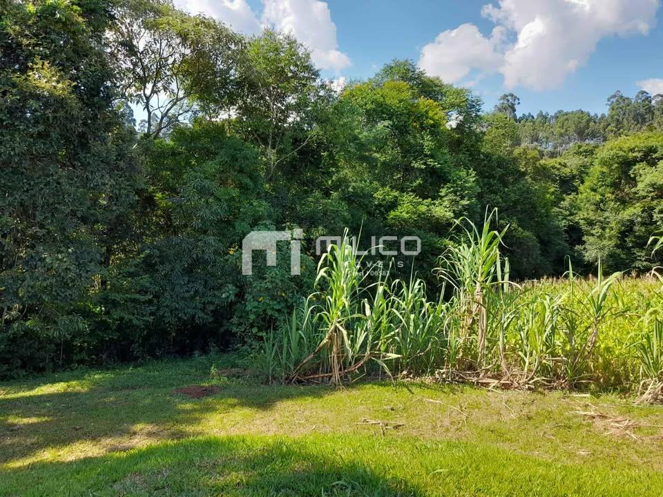 Vieira Imveis em Francisco Beltro PR