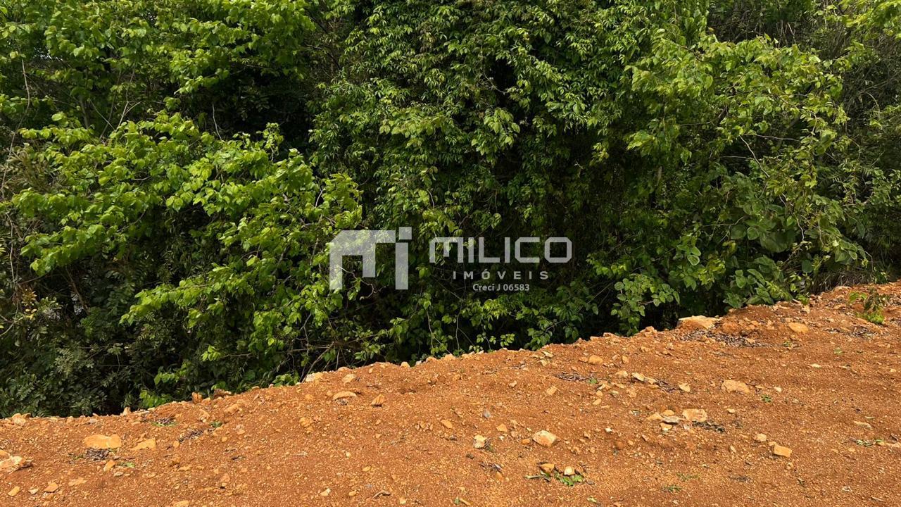 Vieira Imveis em Francisco Beltro PR