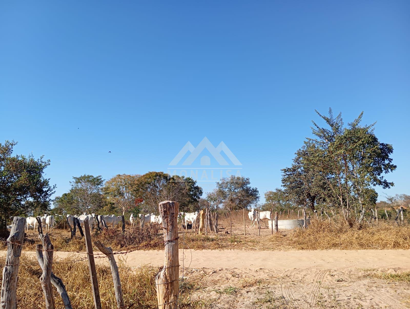 Rural à venda, RURAL, IBIAI - MG