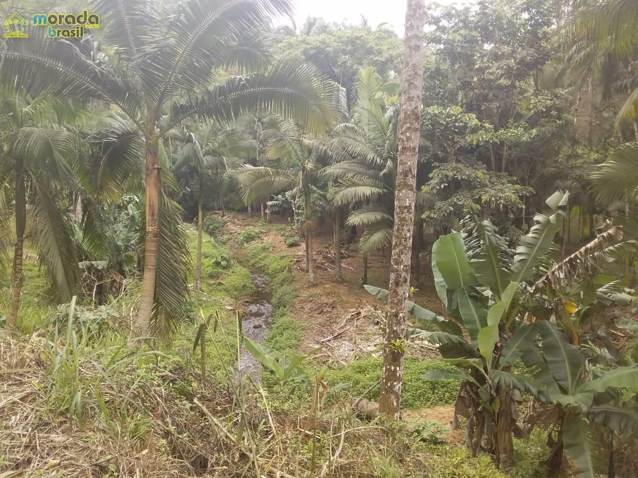 CHÁCARA BAIRRO AMIZADE