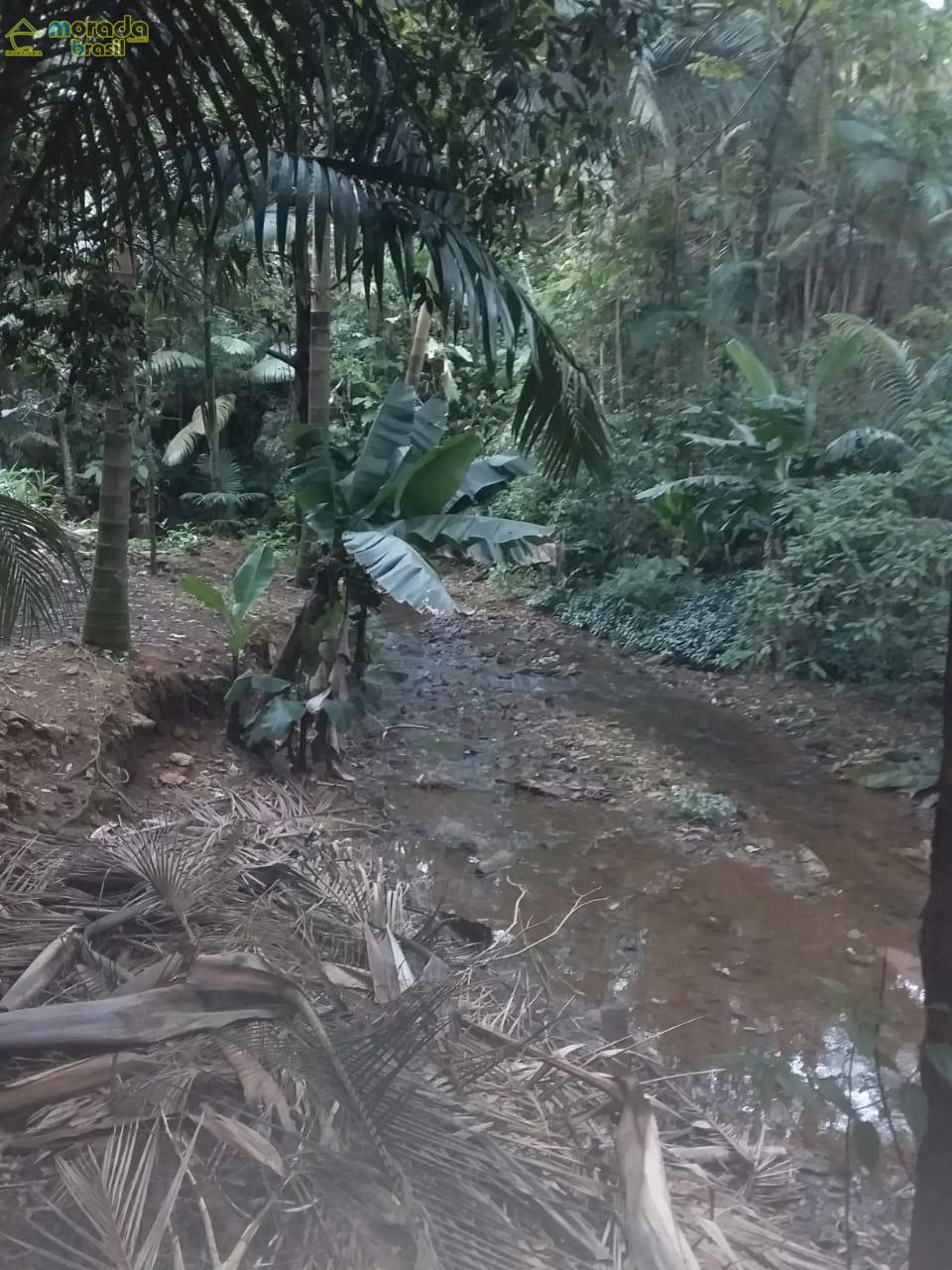 CHÁCARA BAIRRO AMIZADE