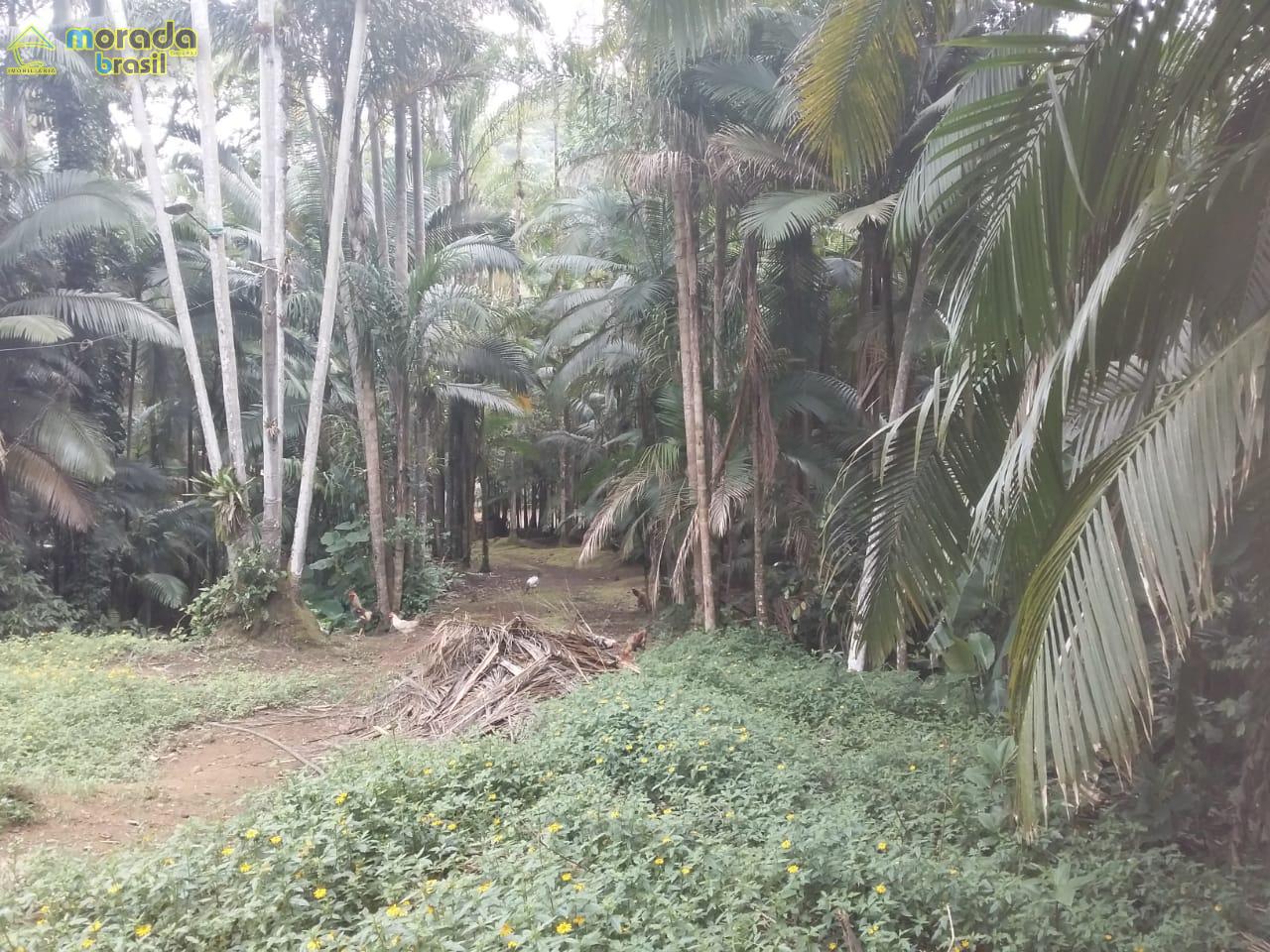 CHÁCARA BAIRRO AMIZADE