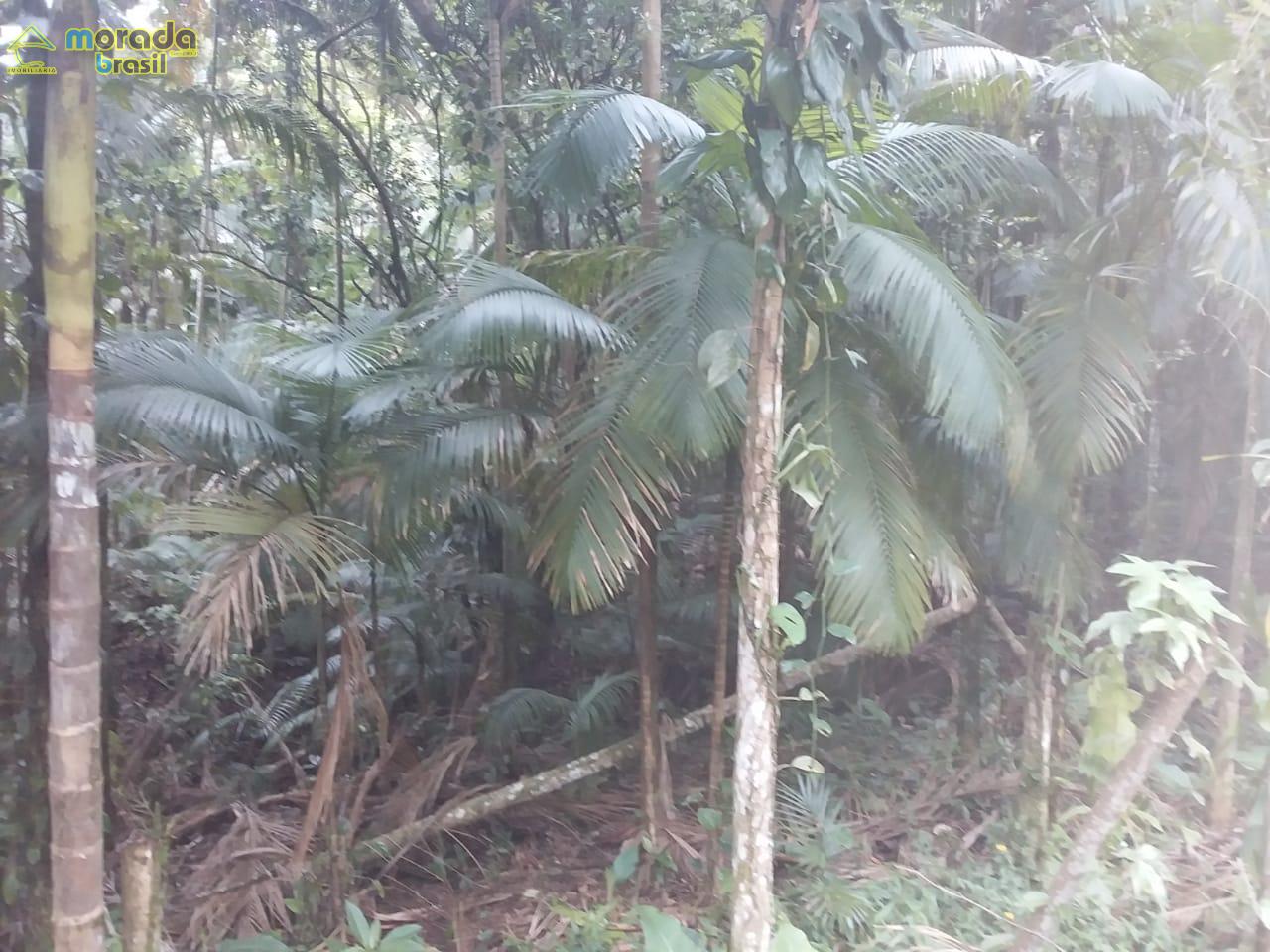 CHÁCARA BAIRRO AMIZADE