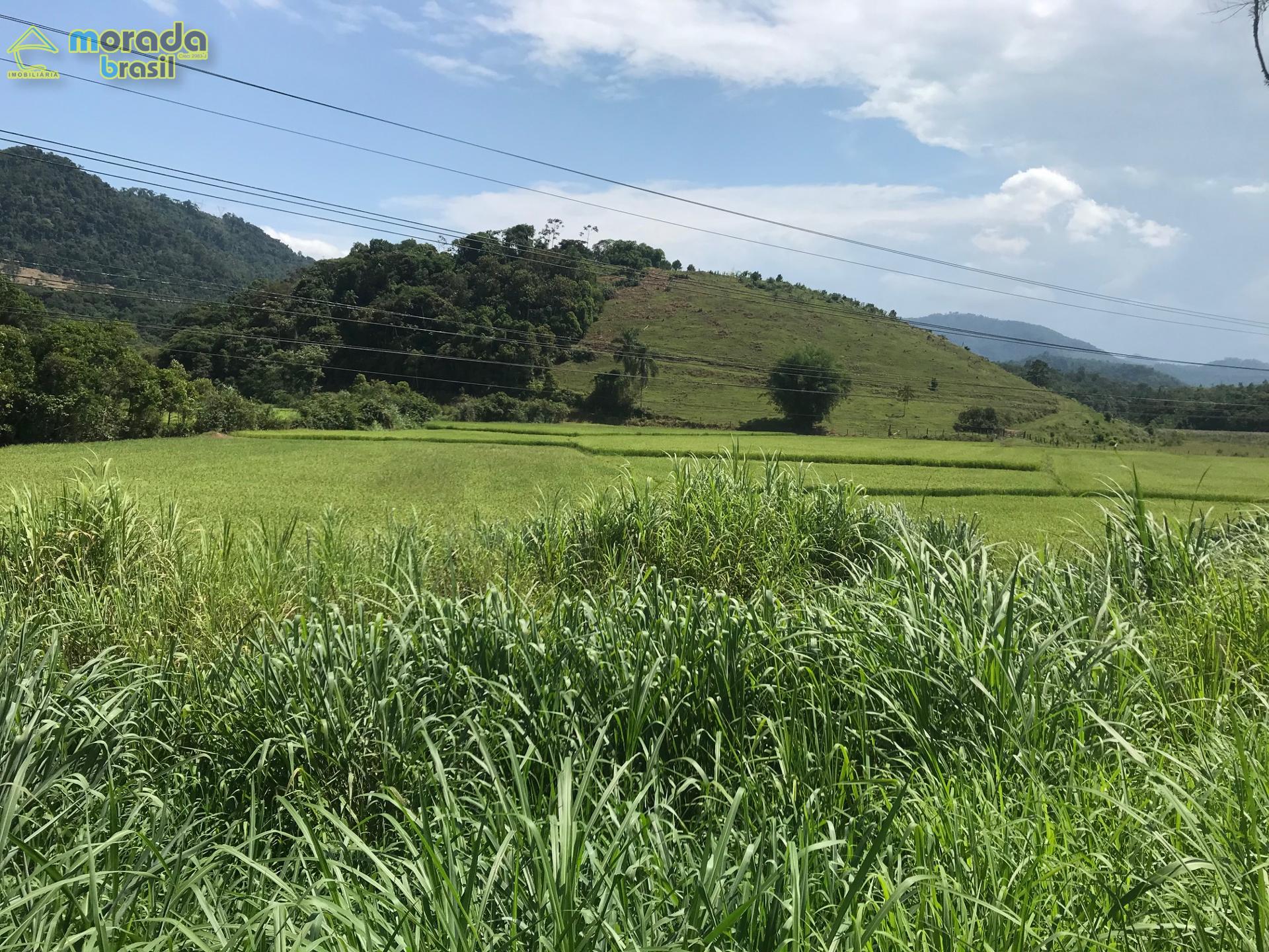 TERRENO BAIRRO NEREU RAMOS
