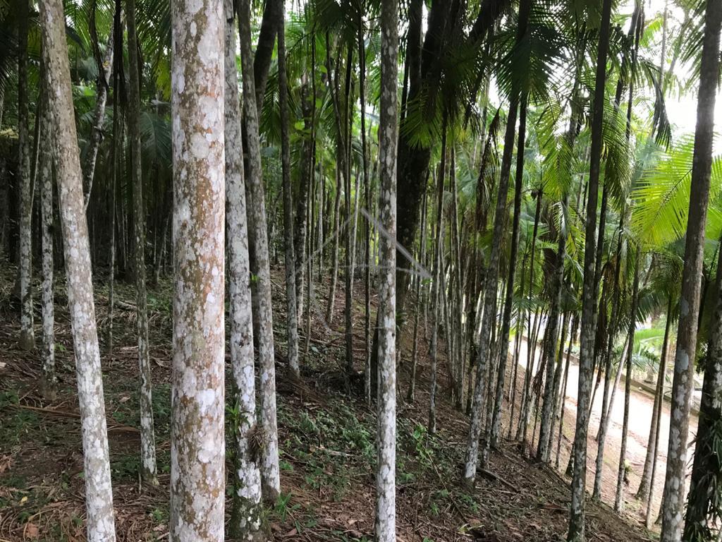 Chácara à venda, SANTO ANTONIO, JARAGUA DO SUL - SC