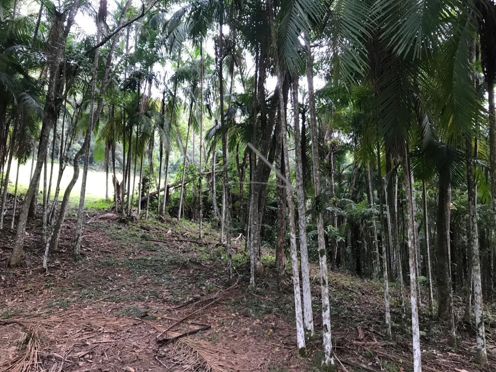Chácara à venda, SANTO ANTONIO, JARAGUA DO SUL - SC