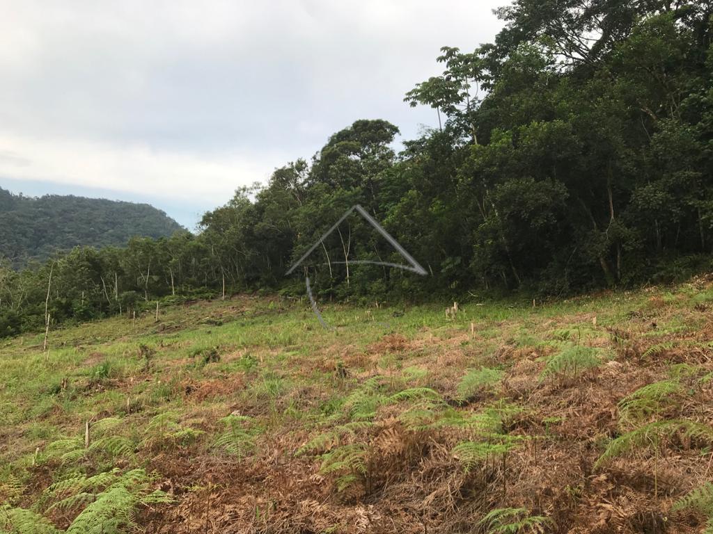 Chácara à venda, SANTO ANTONIO, JARAGUA DO SUL - SC