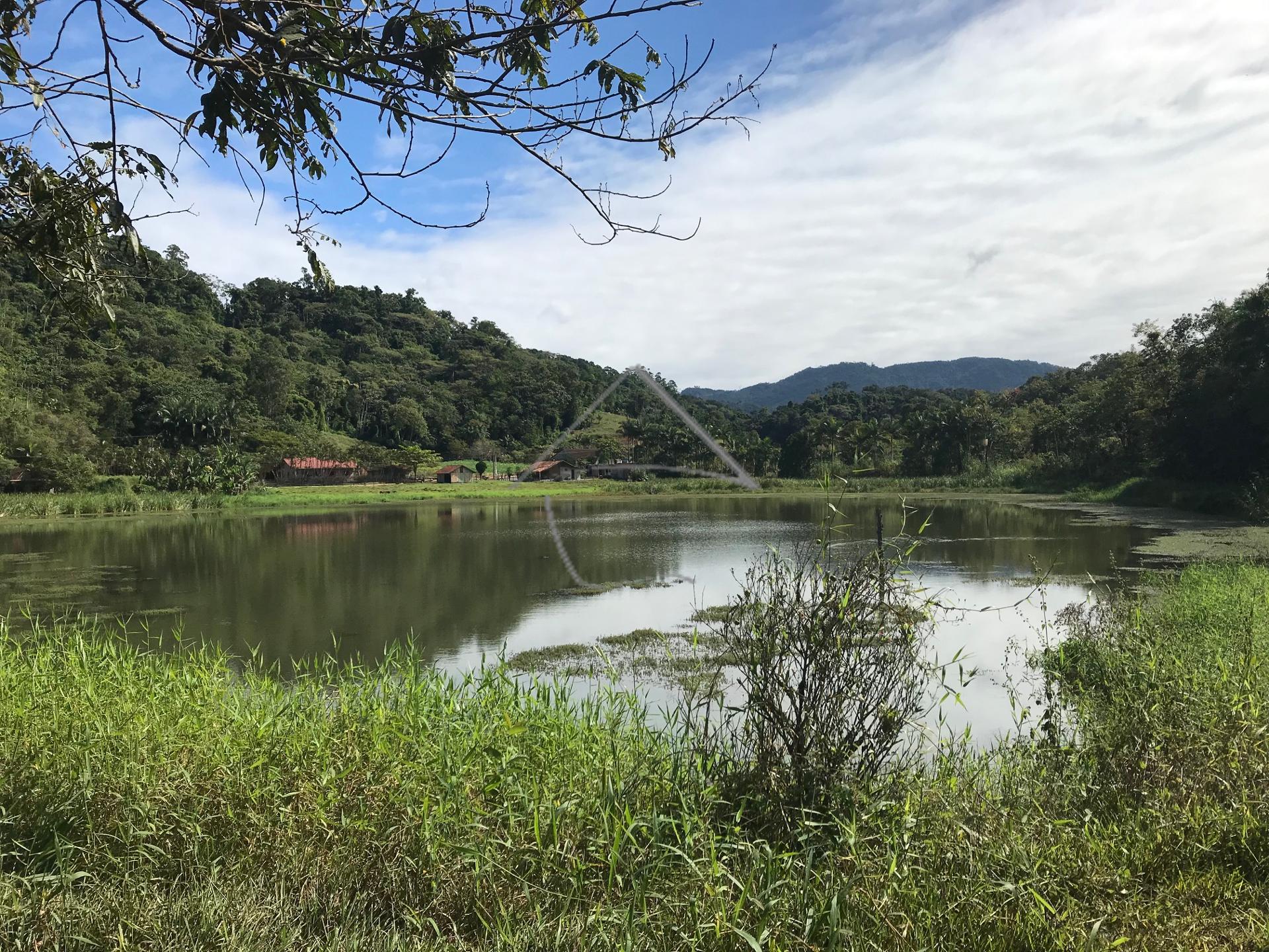 Chácara à venda, RIO CERRO I, JARAGUA DO SUL - SC