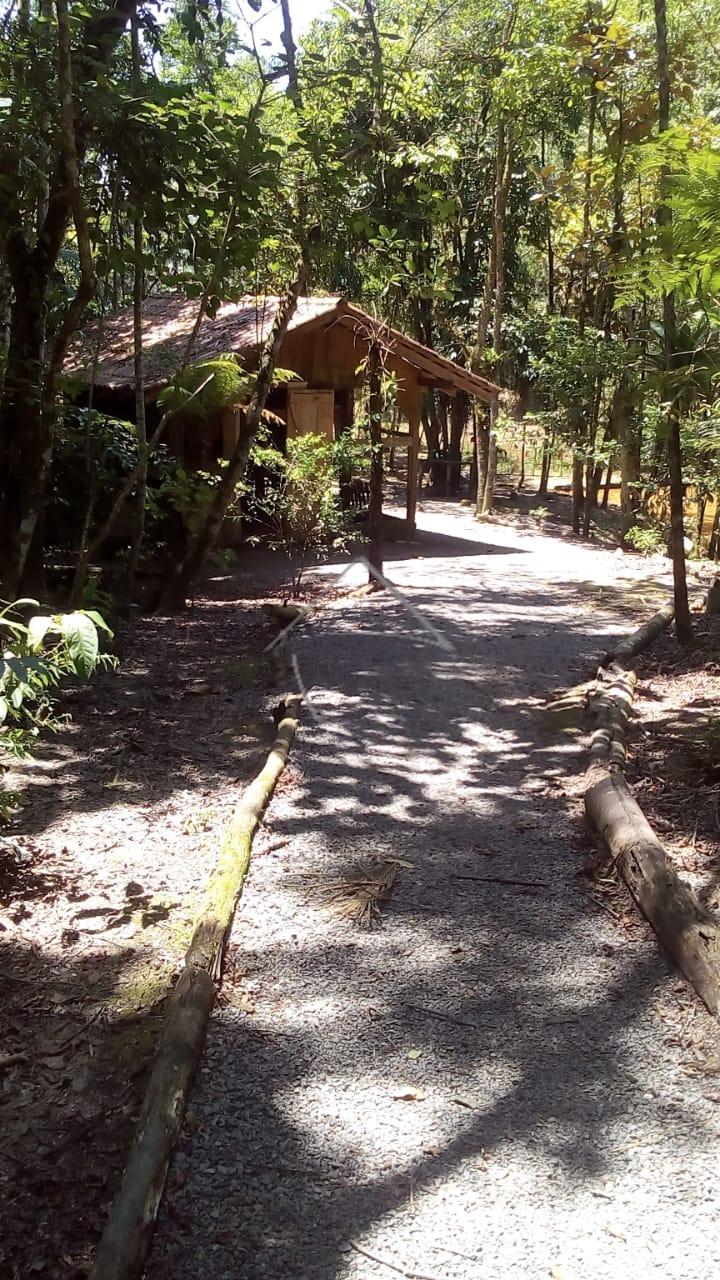 Linda Chácara à venda, NEREU RAMOS, JARAGUA DO SUL - SC