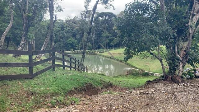 Chácara à venda, CENTRO, CAMPO ALEGRE - SC