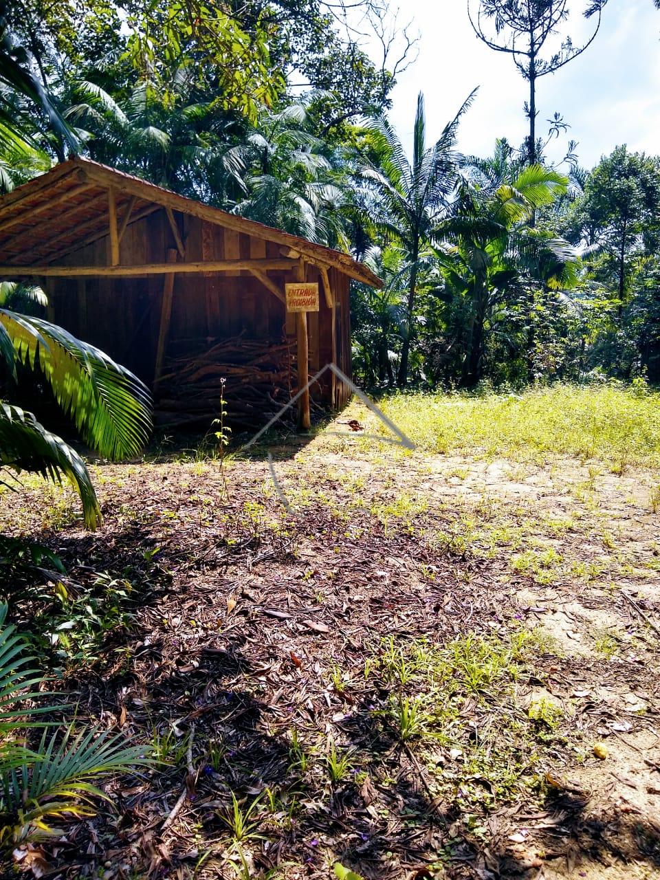 Ótima chácara para moradia e lazer, em  Schroeder próximo a Ja...