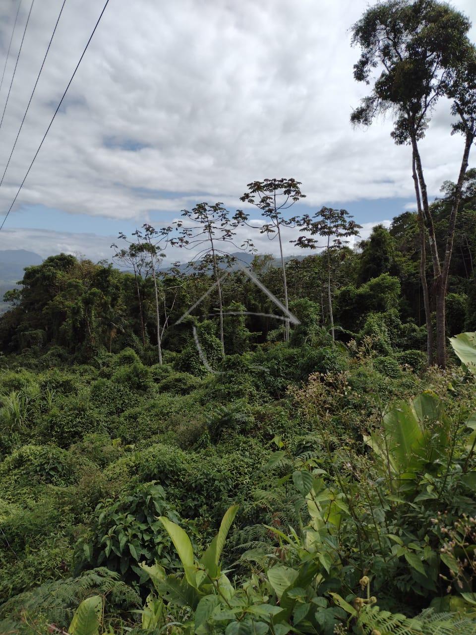 Vende-se Área com Aptidão p  Moradia ou Lazer,RIO CERRO II, JA...
