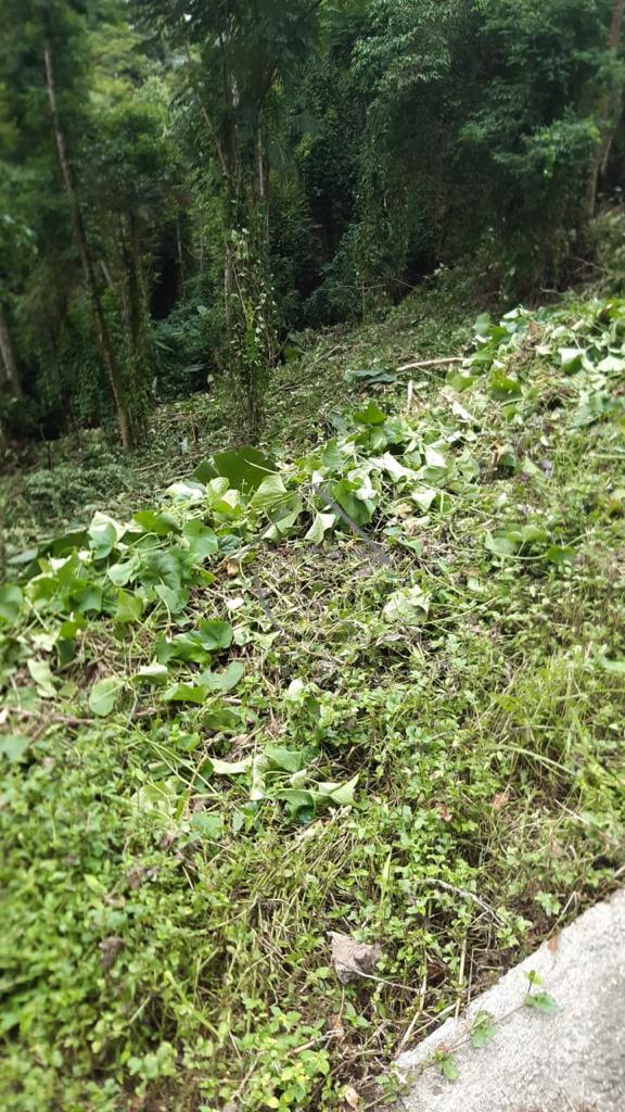 Terreno à venda, BARRA DO RIO CERRO, JARAGUA DO SUL - SC com 3...