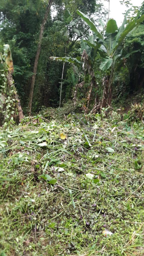 Terreno à venda, BARRA DO RIO CERRO, JARAGUA DO SUL - SC com 3...