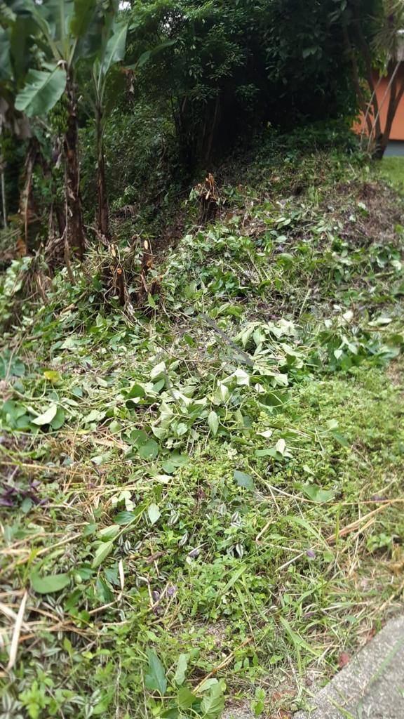 Terreno à venda, BARRA DO RIO CERRO, JARAGUA DO SUL - SC com 3...