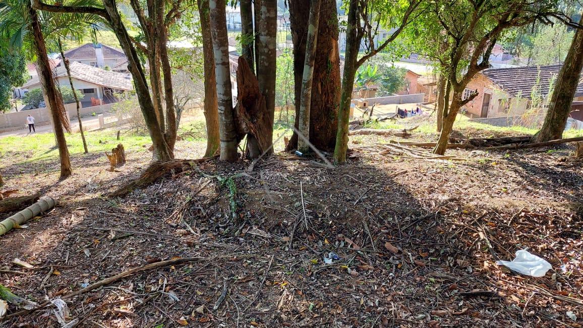 Terreno à venda, Corticeira, JARAGUA DO SUL - SC