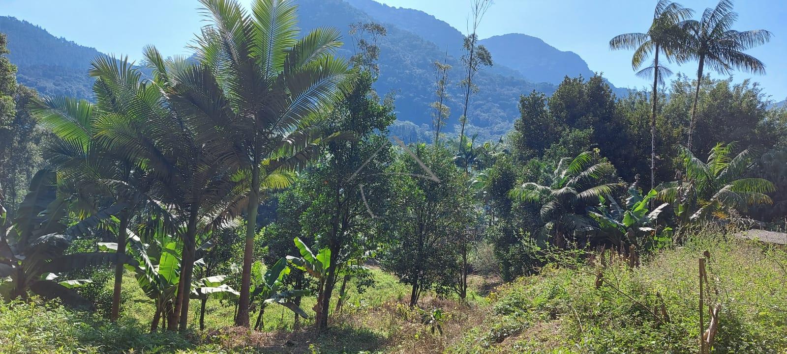 Chácara à venda, DUAS MAMAS, GUARAMIRIM - SC