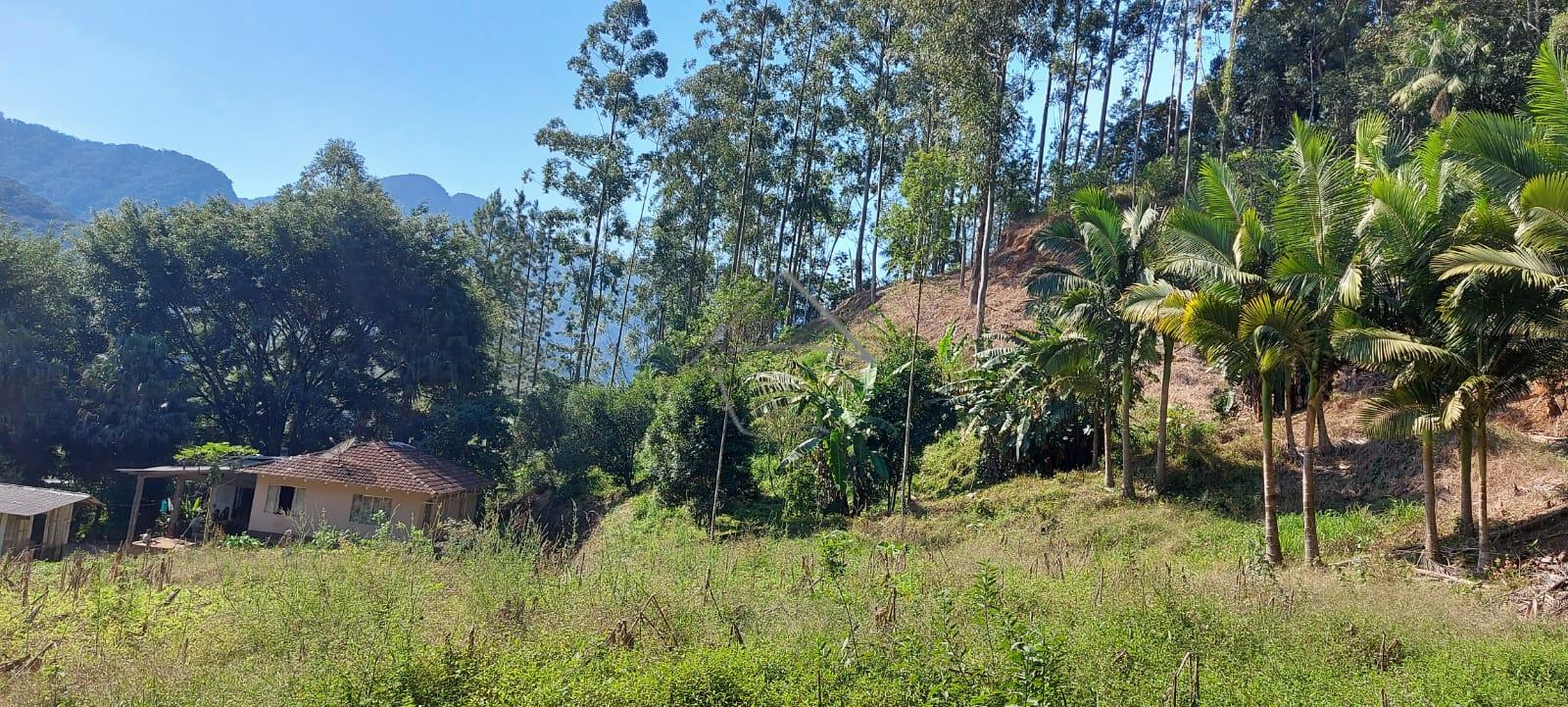 Chácara à venda, DUAS MAMAS, GUARAMIRIM - SC