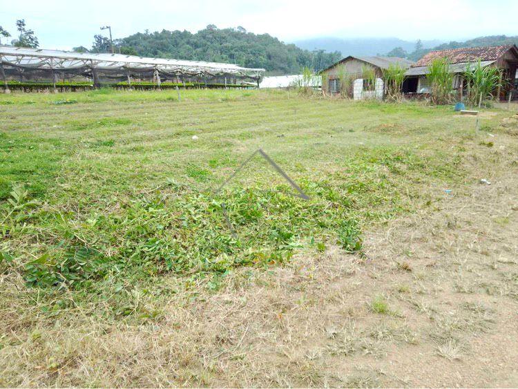 Terreno à venda, BARRA DO RIO CERRO, JARAGUA DO SUL - SC