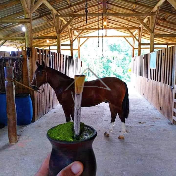 Chácara para locação, GARIBALDI, JARAGUA DO SUL - SC