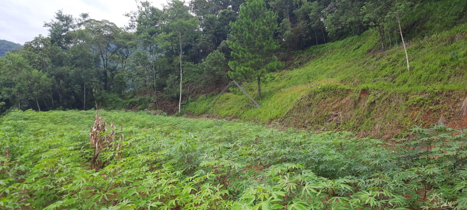 Terreno 3.312,44m² a Venda - João Pessoa - Jaraguá do Sul - SC