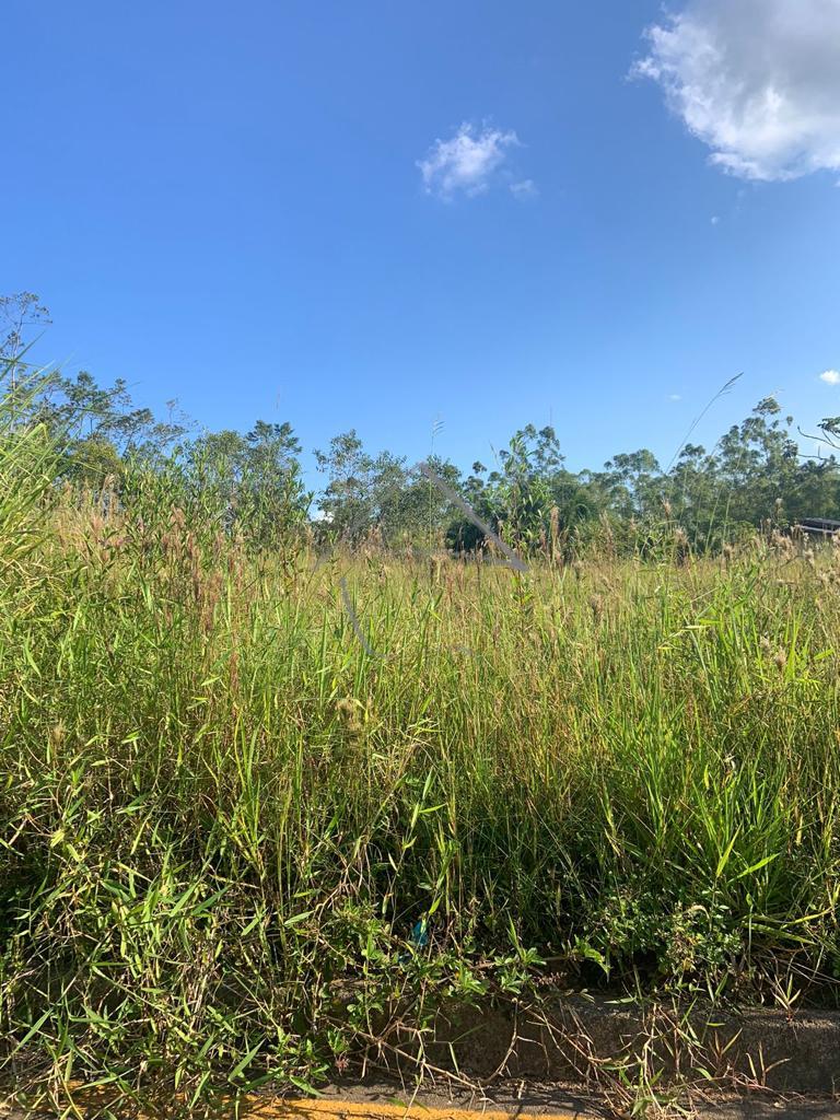 Terreno com 440M  á venda - Três Rios do Norte - Jaraguá do Su...