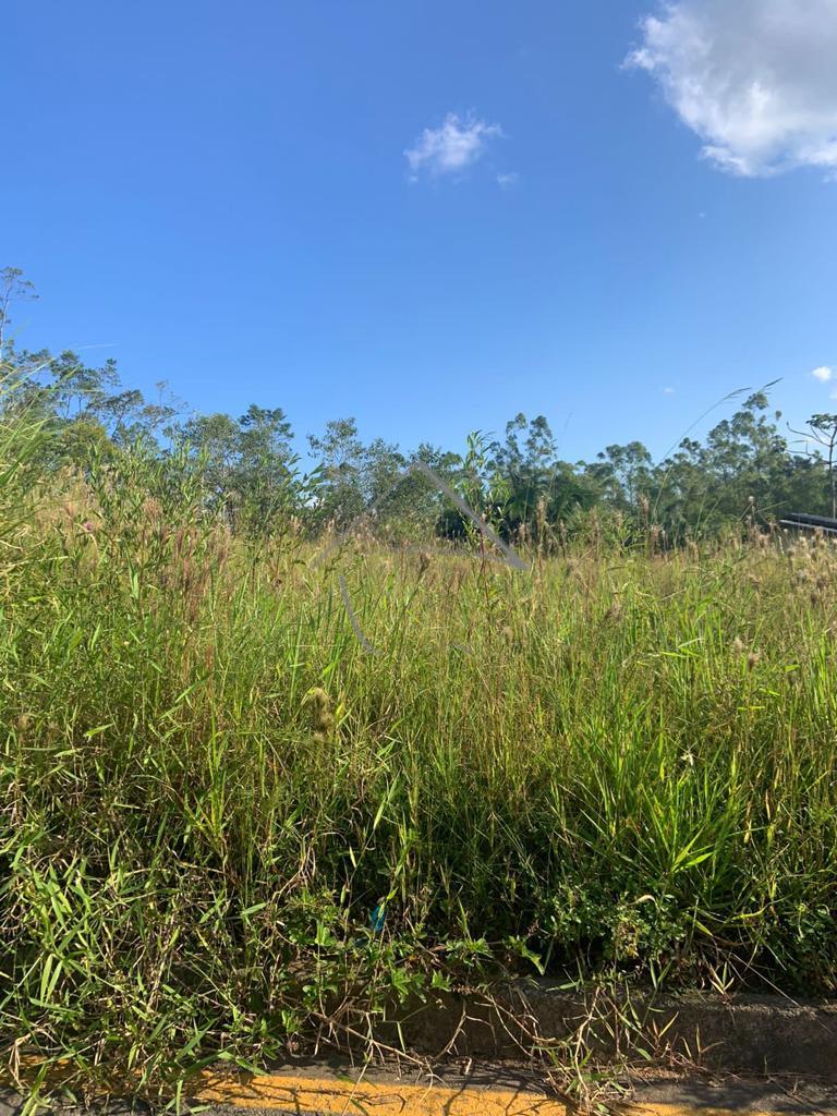 Terreno com 440M  á venda - Três Rios do Norte - Jaraguá do Su...