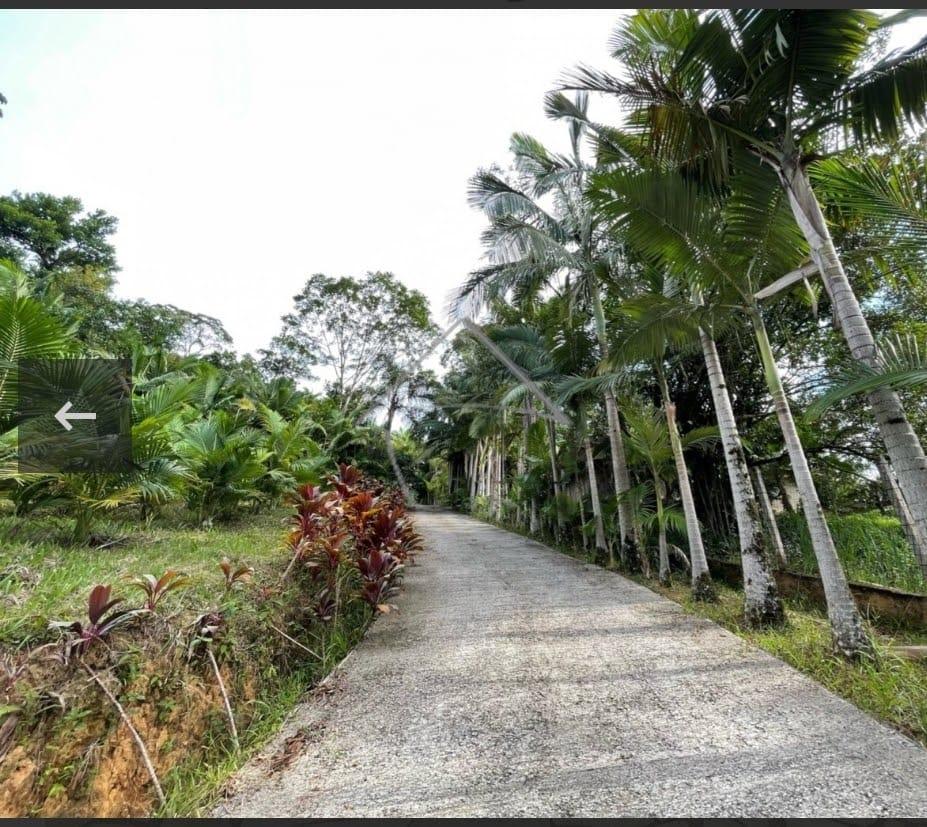 2 casas com Piscinas á venda - Três Rios Do Norte - Jaraguá do...