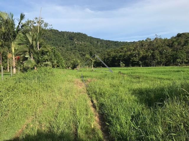 Terreno à venda, RIO CERRO I, JARAGUA DO SUL - SC