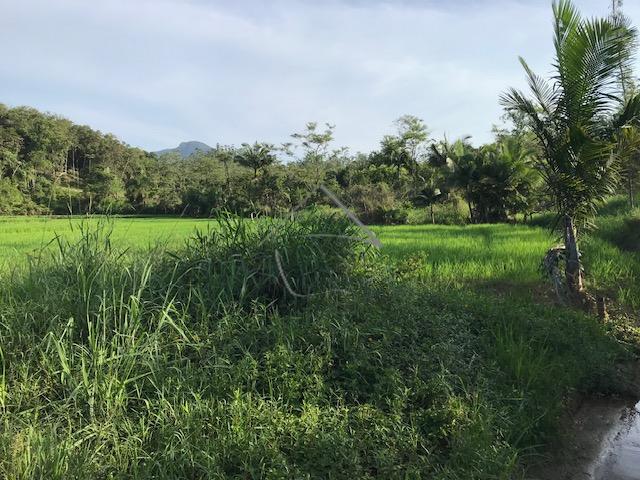 Terreno à venda, RIO CERRO I, JARAGUA DO SUL - SC