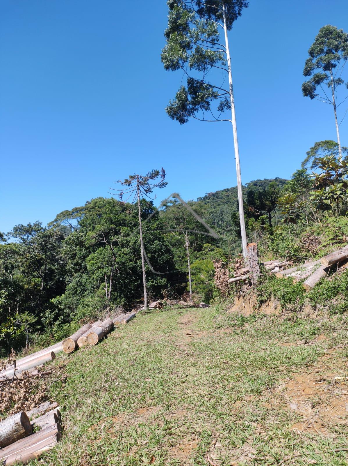 Terreno à venda, RIO MOLHA, JARAGUA DO SUL - SC