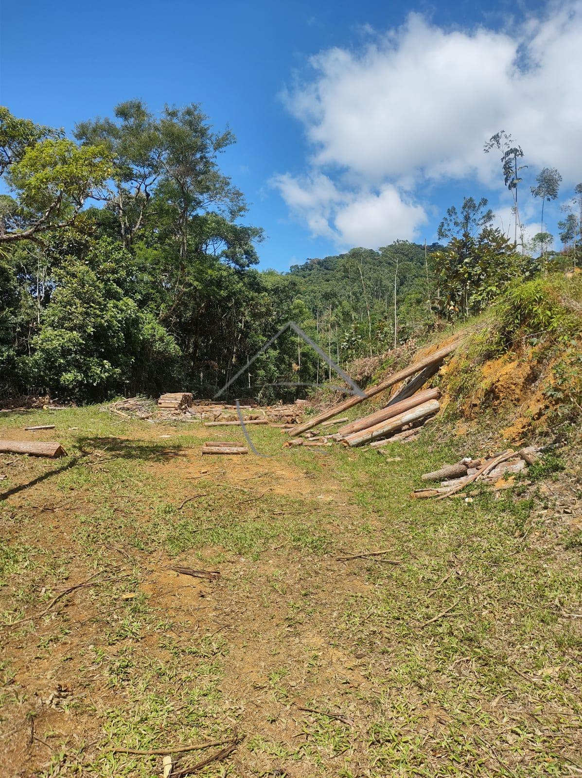 Terreno à venda, RIO MOLHA, JARAGUA DO SUL - SC