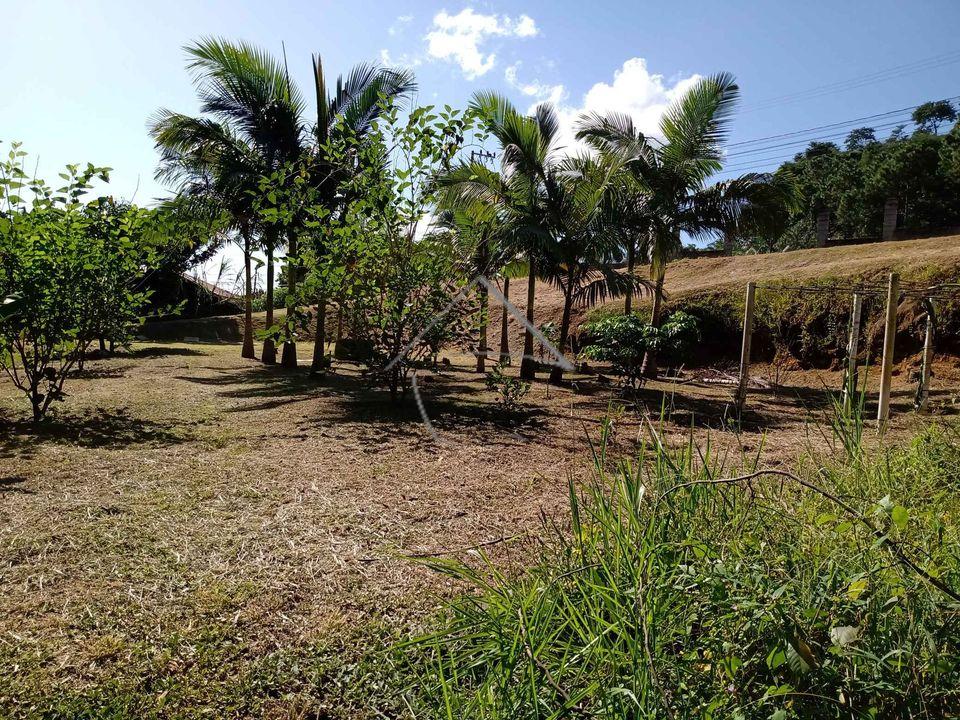 Terreno à venda, ILHA DA FIGUEIRA, JARAGUA DO SUL - SC