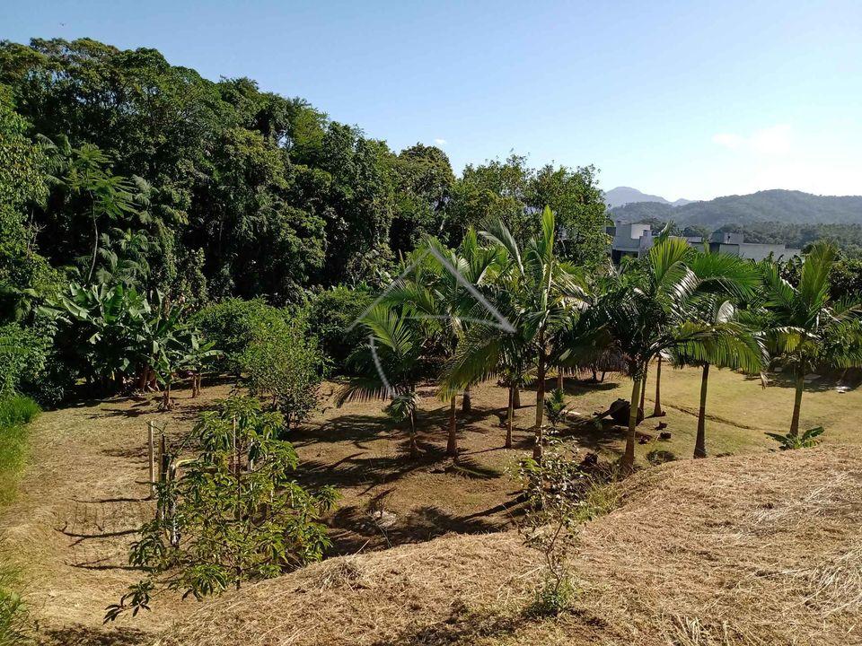 Terreno à venda, ILHA DA FIGUEIRA, JARAGUA DO SUL - SC