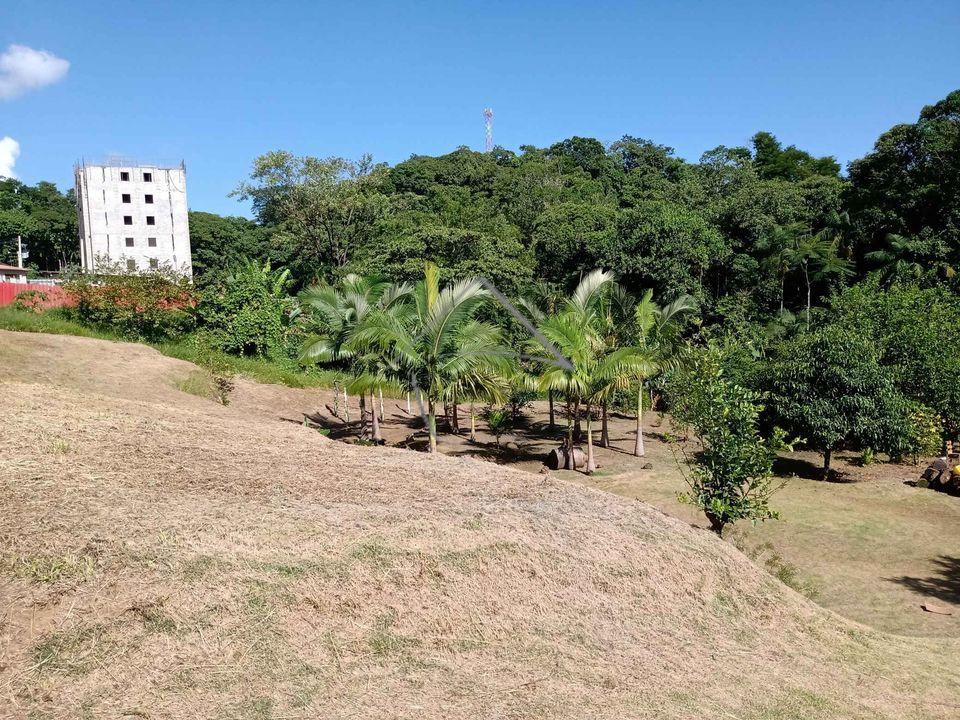 Terreno à venda, ILHA DA FIGUEIRA, JARAGUA DO SUL - SC