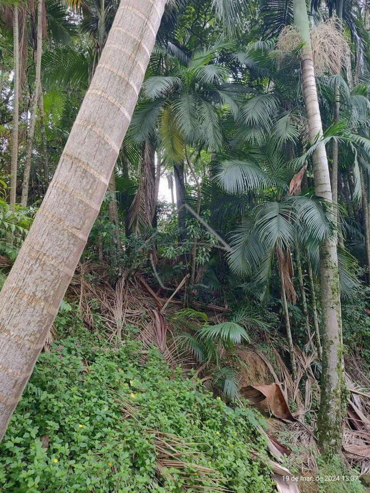 Terreno à venda, JARAGUA ESQUERDO, JARAGUA DO SUL - SC