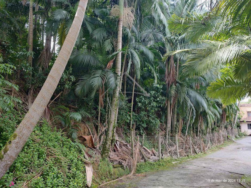 Terreno à venda, JARAGUA ESQUERDO, JARAGUA DO SUL - SC