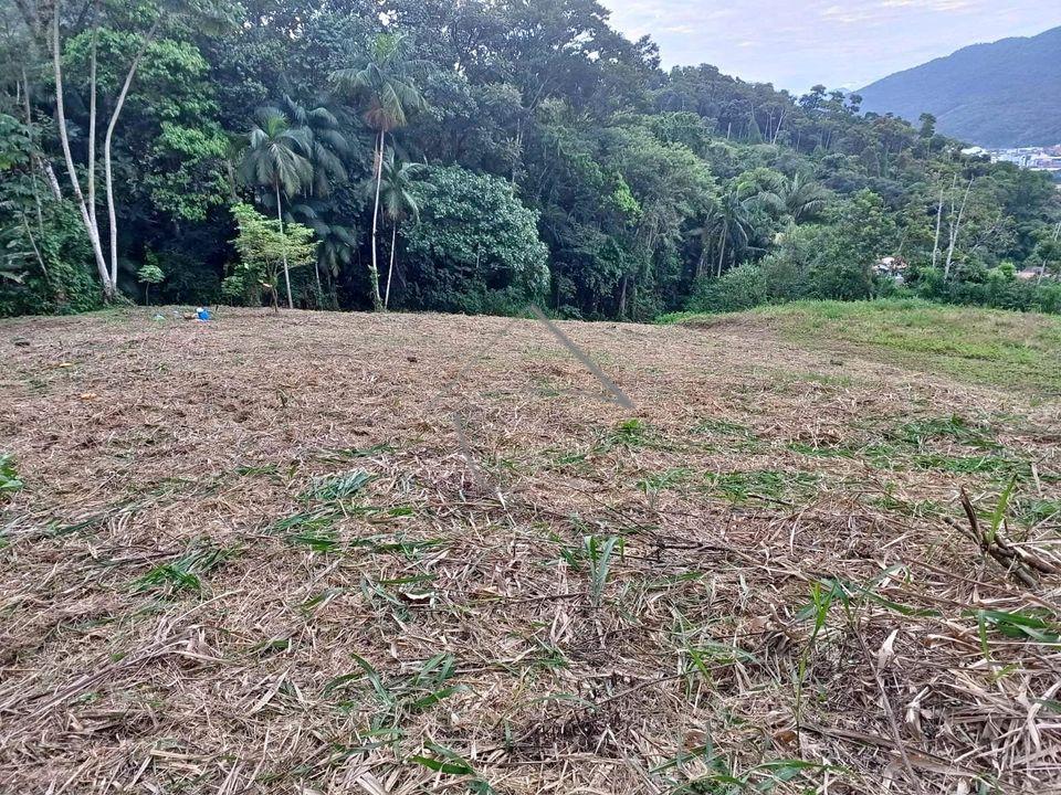 Terreno à venda, ILHA DA FIGUEIRA, JARAGUA DO SUL - SC