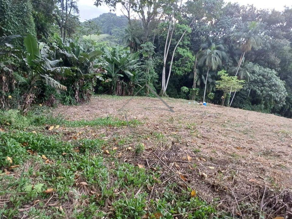Terreno à venda, ILHA DA FIGUEIRA, JARAGUA DO SUL - SC