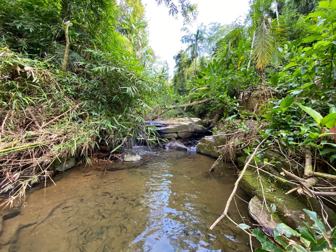 Chácara à venda, RIO DA LUZ, JARAGUA DO SUL - SC
