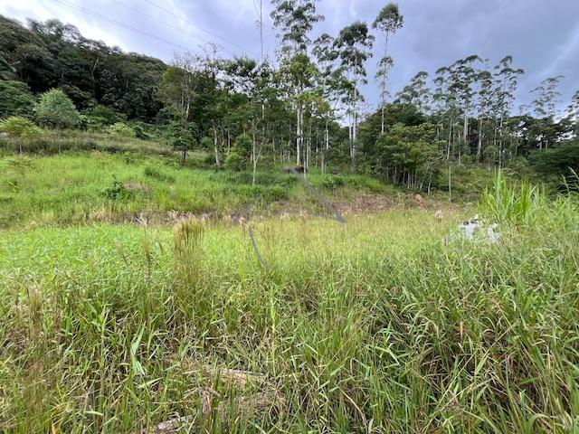 Chácara à venda, RIO CERRO II, JARAGUA DO SUL - SC
