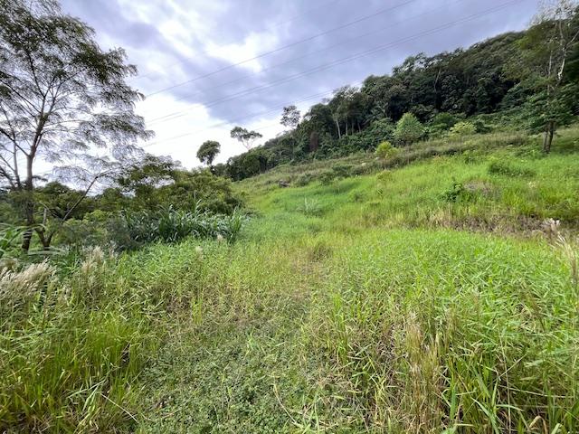 Chácara à venda, RIO CERRO II, JARAGUA DO SUL - SC