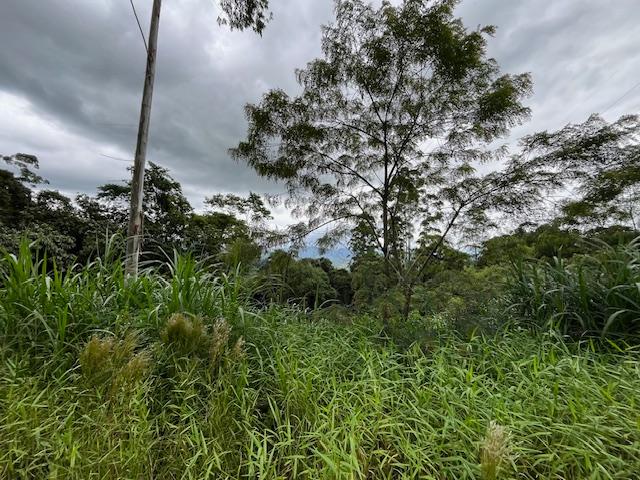 Chácara à venda, RIO CERRO II, JARAGUA DO SUL - SC