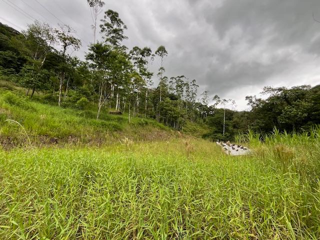 Chácara à venda, RIO CERRO II, JARAGUA DO SUL - SC