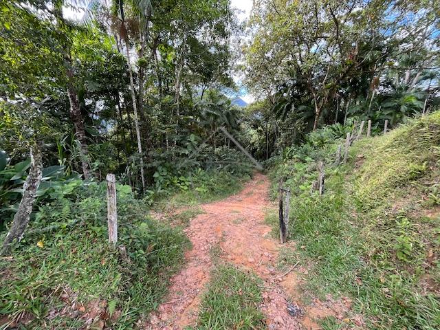 Chácara à venda, GARIBALDI, JARAGUA DO SUL - SC